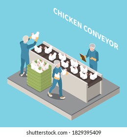 Fondo azul transportador de pollo con personal que inspecciona las aves de corral para su sacrificio y mantenimiento de registros ilustraciones vectoriales isométricas