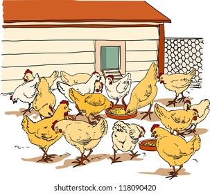 Chicken Coop