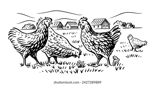 Chicken with countryside landscape. Farm sketch