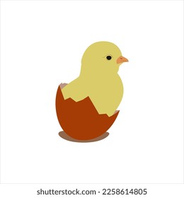 Chicken cracking the egg side view