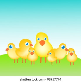 Chicken cubs