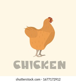 chicken cute vector children's illustration
