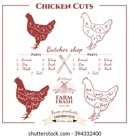 Chicken cuts art concept vector