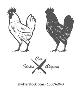 Chicken Cuts Diagram