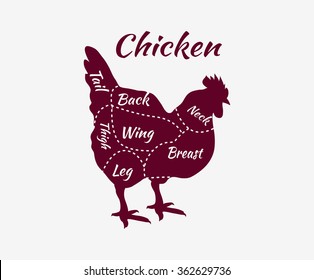 Chicken cuts diagram. Typographic butcher cuts vintage style