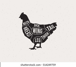 Chicken Cuts. Diagrams For Butcher Shop. Scheme Of Chicken. Vector Illustration.