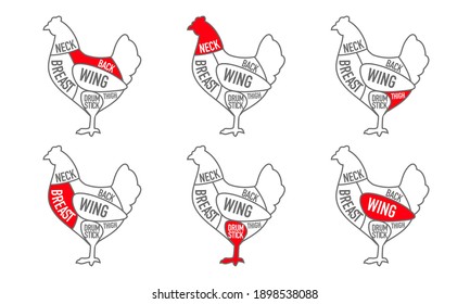 Chicken cuts. Diagrams and Scheme for butcher shop. Farm animal - Poultry. Vintage style poster. Vector illustration.