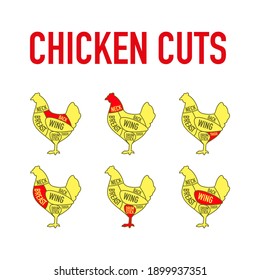 Chicken cuts. Diagrams and Scheme for butcher shop. Farm animal - Poultry. Vintage style poster. Vector illustration.