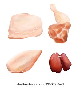 chicken Cuts of food meat set. watercolor vector illustration