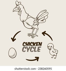 Chicken cycle