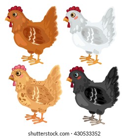 Chicken of different breeds. Vector illustration.