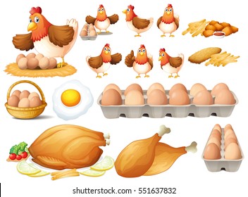 Chicken and different types of chicken products illustration