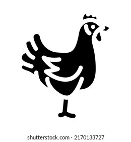 chicken domestic farm bird glyph icon vector. chicken domestic farm bird sign. isolated symbol illustration