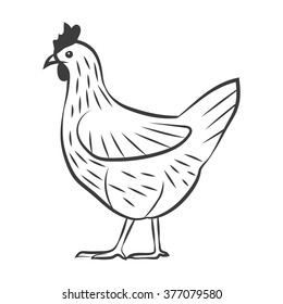 Chicken Drawing Monochrome Farming Isolated Line Art Contour