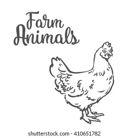 chicken drawn at full length, side view. Black and white sketch illustration home farm poultry, the concept of chicken meat, feather products and eggs.