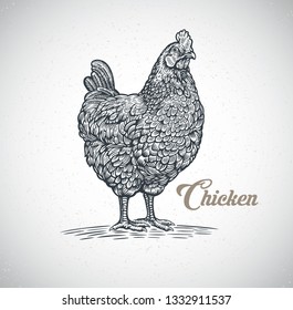 Chicken drawn in a graphic (engraved) style.