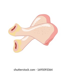 Chicken drumstick vector illustration on the white background. Vector illustration