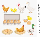 Chicken duck chick egg packaging and chicken eggs on the nests. Vector illustration flat design.