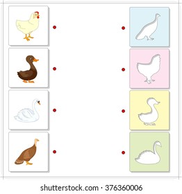 Chicken, duck, turkey and swan. Educational game for kids. Choose the correct silhouettes on the opposite side and connect the points