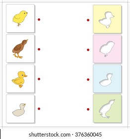 Chicken, duckling, poultry and swan chick. Educational game for kids. Choose the correct silhouettes on the opposite side and connect the points