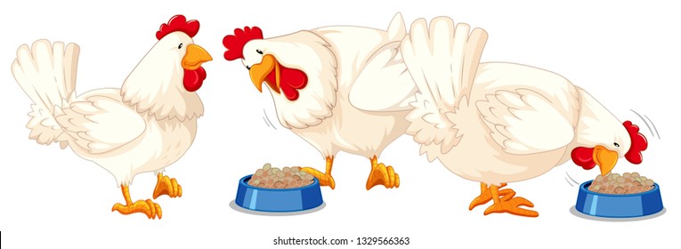 Chicken eating food from bowl illustration