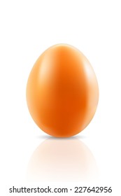 chicken egg