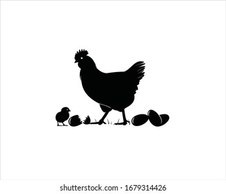 chicken and egg black and white farm