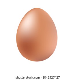 Chicken egg is brown. 3D vector.