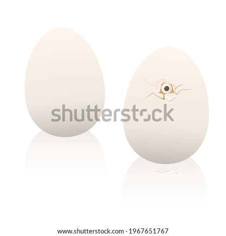 Chicken egg, hatching baby chick peeping out of the broken eggshell with one eye, symbolic for apprehension, insecurity, fear or for courage. Vector illustration on white.
