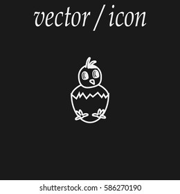 chicken in the egg, icon