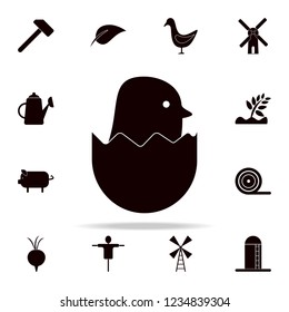 chicken in egg icon. Farm icons universal set for web and mobile