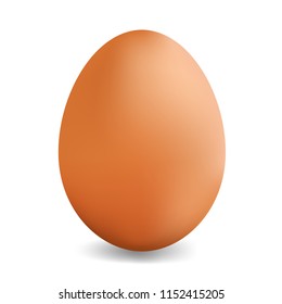 chicken egg illustration