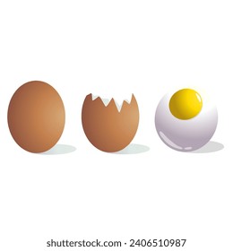 Chicken egg illustration isolated on white background