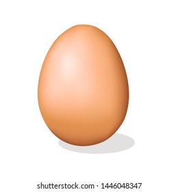 Chicken egg isolated on white background. Vector illustration.