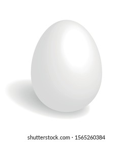 chicken egg isolated on white background