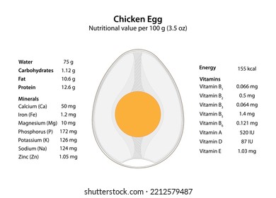 Chicken Egg. Nutritional value. Vector illustration.