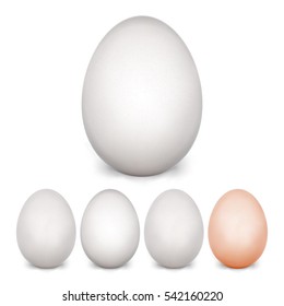Chicken Egg Set. Isolated On White Background. Realistic Blank Of Natural Ecological Product. Healthy Food. Easter Symbol. Photo realistic Egg Template For Your Design. Vector Illustration