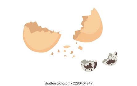 Concha de huevo de pollo, ilustración vectorial de color de la concha de huevo de codorniz. Cubierta rota de huevo aislada sobre fondo blanco. 3.ª caricatura. Icono de basura orgánica. Residuos orgánicos que se pueden descomponer. Estilo de vida verde