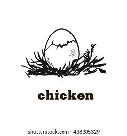 chicken egg sketch
