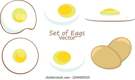 Chicken egg vector cartoon set. Vector illustration farm poultry on white background . Isolated cartoon set icon chicken egg.