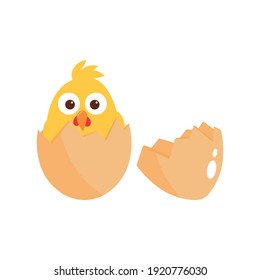 Chicken in egg - vector illustration isolated on white background.