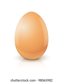 chicken egg vector illustration isolated on white background EPS10. Transparent objects and opacity masks used for shadows and lights drawing