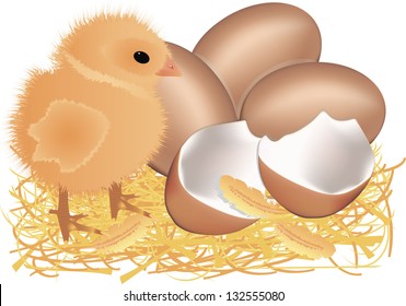 chicken, eggs