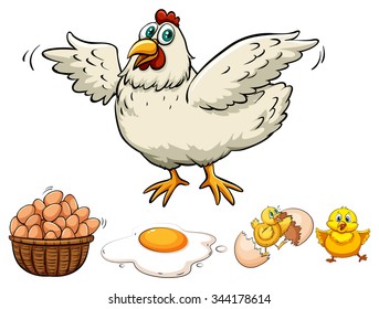 Chicken and eggs in basket illustration