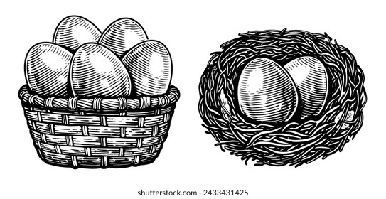 Chicken eggs in basket, nest. Farm organic food. Hand drawn sketch vintage vector illustration