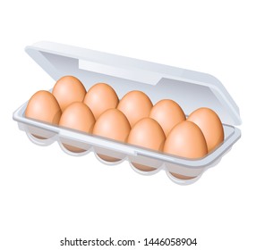 Chicken eggs in eggs box. Vector illustration.