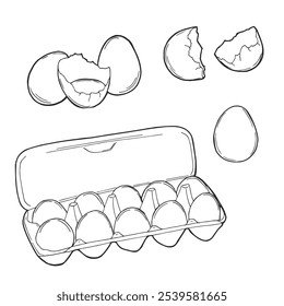 Chicken eggs in a carton pack. Eggs in an opened box. Hand-drawn vector illustration of an egg container Isolated on a white background.