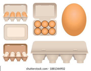 Chicken eggs in carton vector design illustration isolated on white background