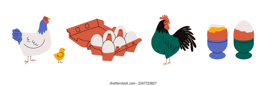 Chicken with eggs. Cartoon hen rooster box boiled eggs, farm poultry characters, eco Easter organic concept. Vector set