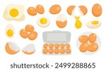 Chicken eggs collection. Raw, boiled, whole and sliced, peeled and broken eggs isolated on white background. Scrambled eggs, omelette, eggshell, egg carton box. Flat Vector illustration